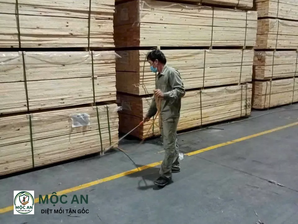 Thi công diệt mối tận gốc tại Thạch Thất Hà Nội