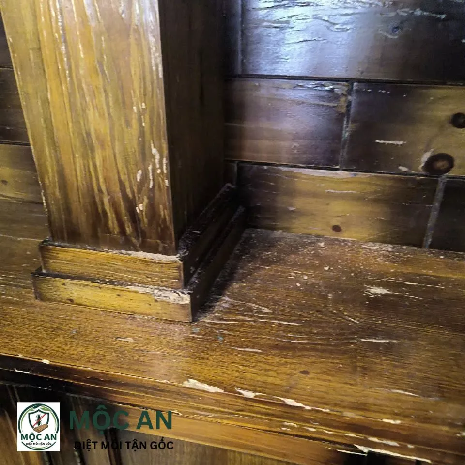Dấu hiệu mối 3