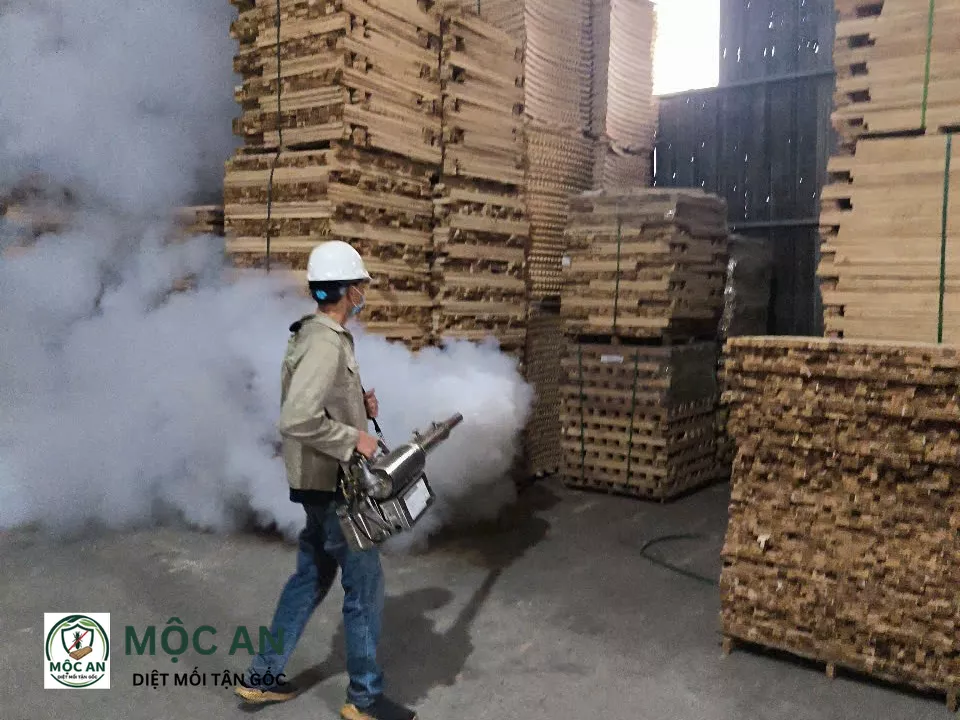 Thi công diệt mối tận gốc tại quận Thanh Xuân Hà Nội