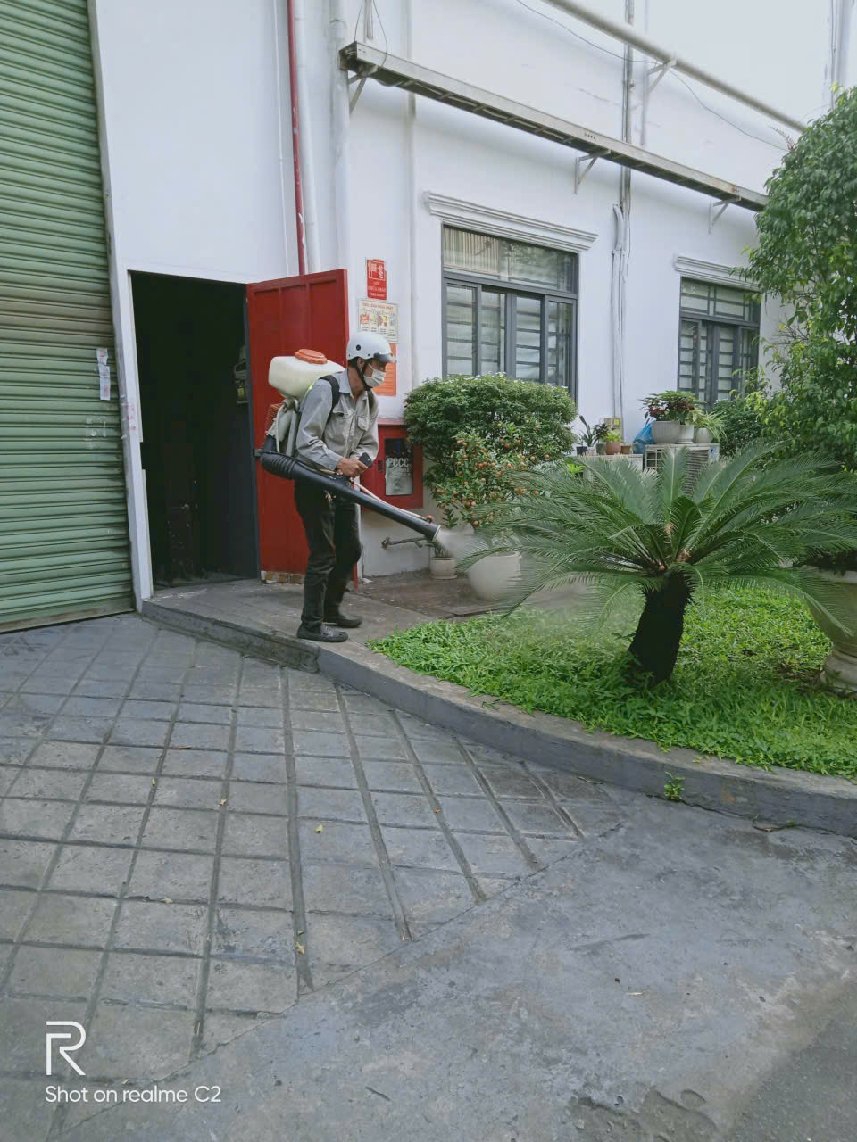 Dịch vụ diệt kiến